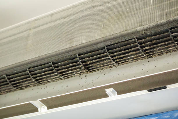 Best Home Air Vent Cleaning  in Vilge St George, LA